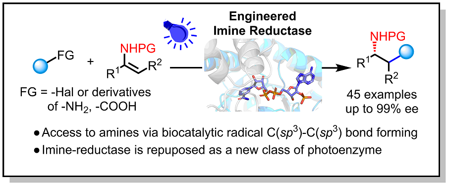Graphical abstract for Modular access to chiral amines via imine reductase-based photoenzymatic catalysis.