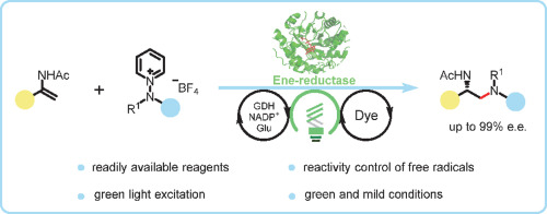 Graphical abstract for Enantioselective biosynthesis of vicinal diamines enabled by synergistic photo/biocatalysis consisting of an ene-reductase and a green-light-excited organic dye.