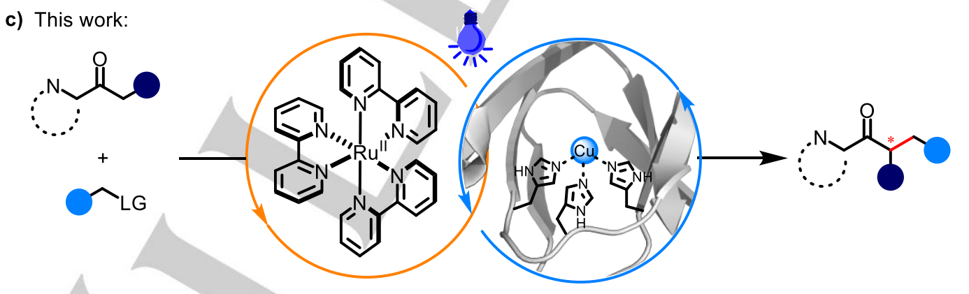 Graphical abstract for Enantiodivergent radical alkylation by synergistic Lewis-acid-enzyme and photoredox catalysis.