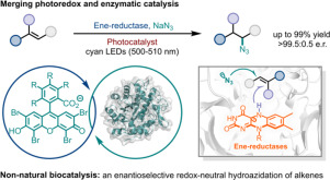 Graphical abstract for Radical hydroazidation of alkene enabled by synergistic photobiocatalysis combining ene-reductase with an organophotocatalyst.
