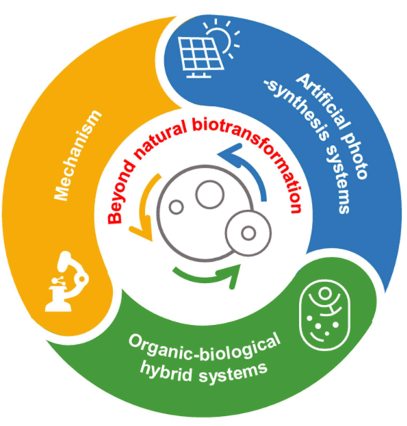Graphical abstract for Solar-driven artificial hybrid systems for beyond natural biotransformation.
