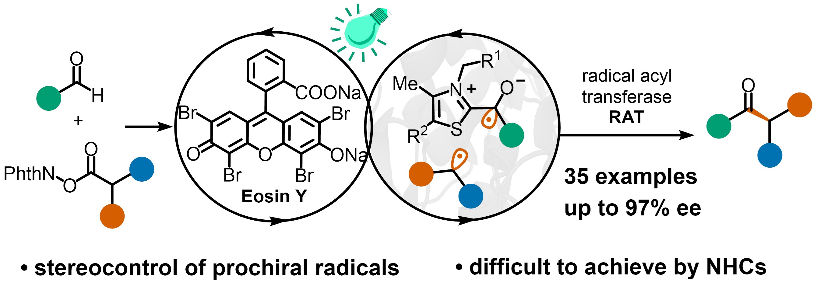 Graphical abstract for A light-driven enzymatic enantioselective radical acylation.