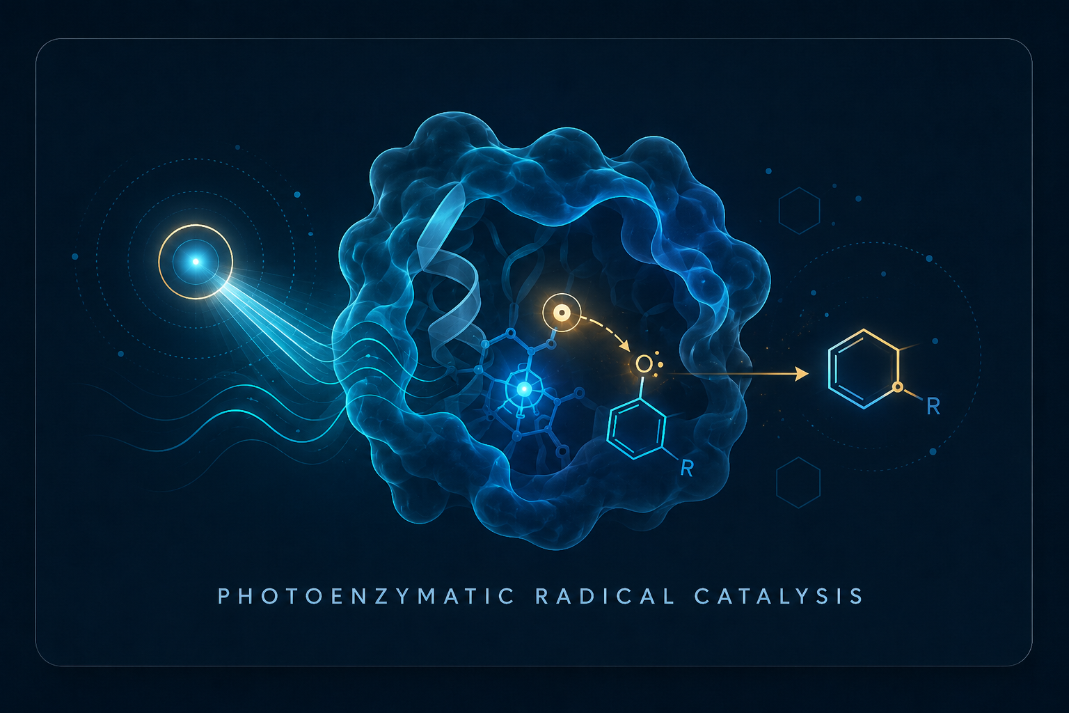 Photoenzymatic radical catalysis illustration